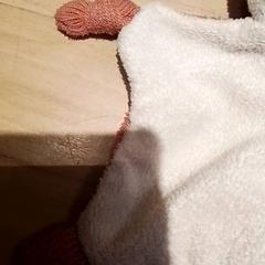 Knuffel, as reported by Beekse Bergen Resorts en Hotel using iLost