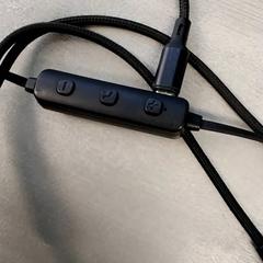 Štuple do uší Zwart, ako bolo nahlásené Arriva Friesland / Groningen pomocou iLost