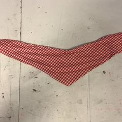 Shawl, as reported by Artis using iLost