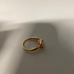 Bague, a été signalé par Pathé Amersfoort utilisant iLost