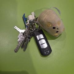 İLost kullanarak Gemeente Hardenberg tarafından bildirildiği gibi Anahtarlık meerdere slleutels en autosleutel