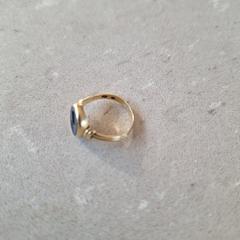 Zegel pink ring, iLost에 보고됨