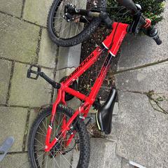 Rood jongen fiets, som rapporterats till iLost