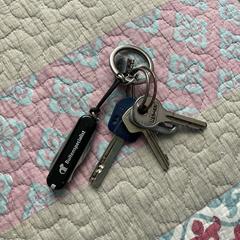 Keys, gerapporteerd met iLost