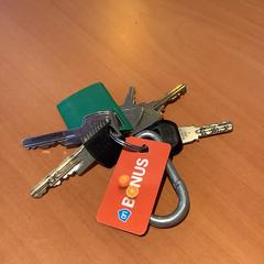 İLost kullanarak Gemeente Amsterdam - Bureau Gevonden Voorwerpen tarafından bildirildiği gibi Anahtarlar