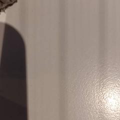 Przytulanka, zgłoszono przez De Efteling przy użyciu iLost