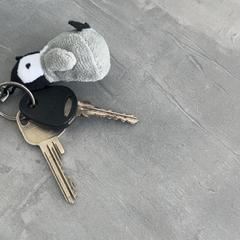 Keys, as reported by RRReis Arriva Achterhoek-Rivierenland using iLost