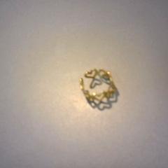 指輪 がiLostで SnowWorld Landgraaf によって報告されました