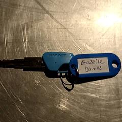 Bizikletaren giltza Gazelle dames, gisa salatu by Paaspop iLost erabiliz