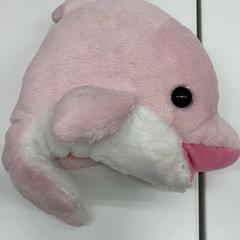 Peluix, segons ha informat IKEA新三郷 mitjançant iLost