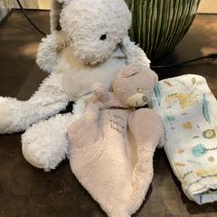 شخصيات الأكشن والدمى والحيوانات المحشوة والدمى، كما تم الإبلاغ عنه بواسطة Van der Valk Hotel Heerlen عبر iLost