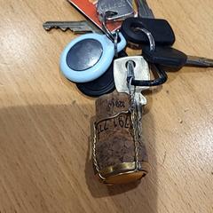 Brelok do kluczy Champagne kurk, zgłoszono przez Gemeente Gooise Meren przy użyciu iLost