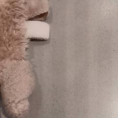 Knuffel, zoals gemeld door De Efteling met iLost