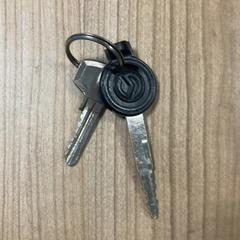 Keys, as reported by Pathé Zwolle using iLost