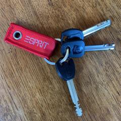 sleutelbos met 3 sleutels, as reported to iLost