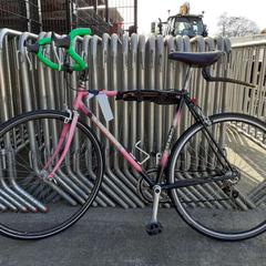 Pánské kolo Libertas roos, jak nahlášeno Fietsdepot pomocí iLost