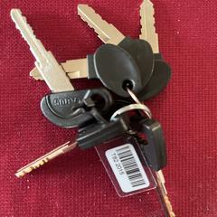 Sleutelbos, gerapporteerd met iLost