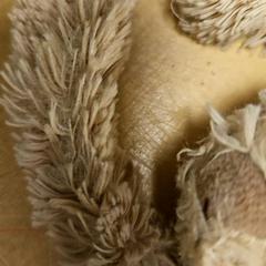 Peluix, segons ha informat Avonturenboerderij Molenwaard mitjançant iLost