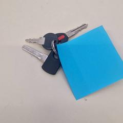 Sleutelbos がiLostで Transdev Gooi en Vechtstreek によって報告されました