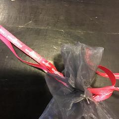 Vak, jak nahlášeno U-OV Utrecht pomocí iLost