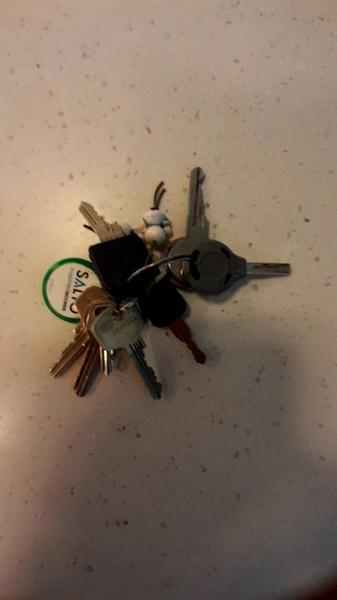 Keychain bos sleutels