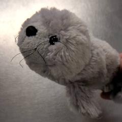 كنوفل، كما تم الإبلاغ عنه بواسطة IKEA Amsterdam عبر iLost