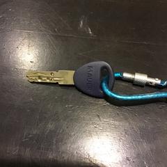 Chave, como reportado por Qbuzz U-OV utilizando o iLost