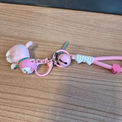 Clau, segons ha informat Connexxion Zeeland mitjançant iLost