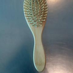 Hårborste, rapporterat av Burgers' Zoo med iLost