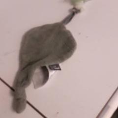 Speen, come riportato da IKEA Breda utilizzando iLost