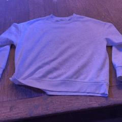 Svetr Grijs, jak nahlášeno De Heeren van Aemstel pomocí iLost