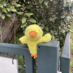 Knuffeldier kuiken an iLost gemeldet