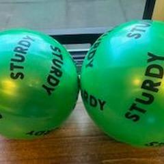 Balle, a été signalé par Hotel Apeldoorn utilisant iLost