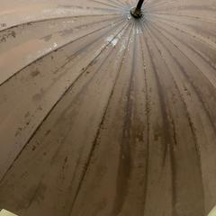 Paraguas, ha sido reportado por IKEA横浜 con iLost