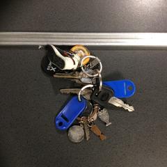 Nøkkelring, som rapportert av Breng Nijmegen ved bruk av iLost