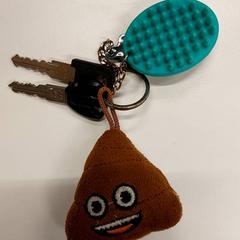 Sleutelbos, zgłoszono przez Gemeente Hilversum przy użyciu iLost