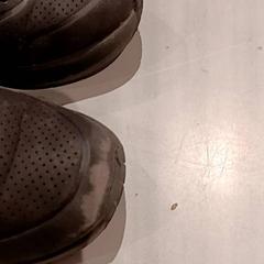 Obuv, jak nahlášeno De Efteling pomocí iLost