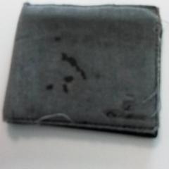 Cartera Fostier, segons ha informat ilévia mitjançant iLost