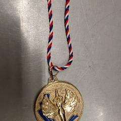 Ciondolo & Medaglia Avec cordon bleu blanc rouge, come riportato da IKEA Rennes - Pacé utilizzando iLost