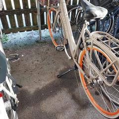 Bicicleta Gazelle Beige, ha sido reportado por Fietsdepot Meierijstad con iLost
