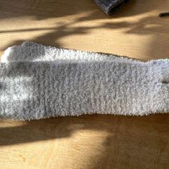 شال wit، كما تم الإبلاغ عنه بواسطة Hortus عبر iLost