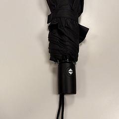 Paraigües, segons ha informat Vrije Universiteit Amsterdam mitjançant iLost