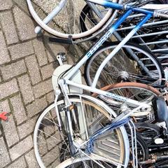 İLost kullanarak Stadswerk072 tarafından bildirildiği gibi Kadın bisikleti Gazelle