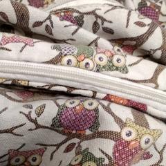 Taška met Uilen, jak nahlášeno Arriva Friesland / Groningen pomocí iLost