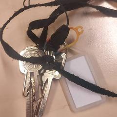 Sleutel, zoals gemeld door Blauwnet Zwolle met iLost