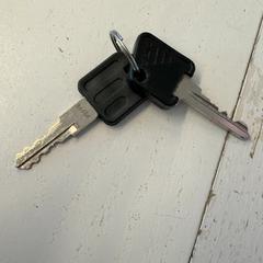 Llave, ha sido reportado por GVB con iLost