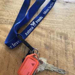 Sleutels, segons s'ha informat a iLost