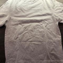 Tシャツ wit Zara がiLostで WestCord Hotel Eindhoven によって報告されました