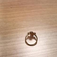 Ring Goudkleurig, zoals gemeld door RRReis Veluwe Zuid - Ede met iLost