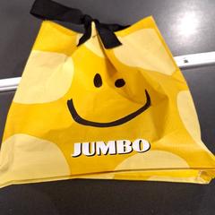 가방, iLost를 사용하여 Breng Nijmegen에 보고됨